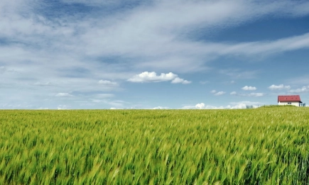 Повсеместни валежи и пролетни температури