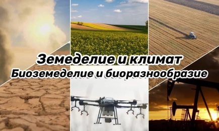 Биоземеделието – мост между човека и природата