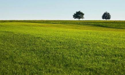 Затопляне и валежи