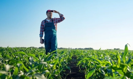 ПРОГРАМА ЛАЙФ: ЕС инвестира над 380 млн. евро в 133 нови проекта