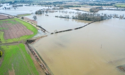 Засушаването прави почвите уязвими към наводнения