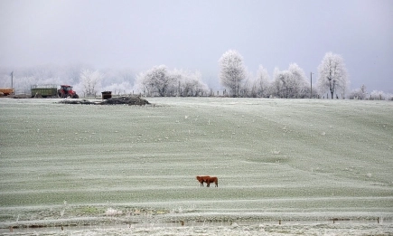 След топлото за сезона време идва застудяване