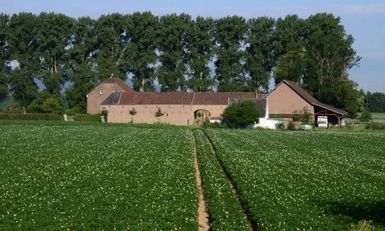 Разнопосочно развитие на биоплощите в ЕС