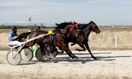 Предаване, в което конете на България ще изригнат в две хиподрумни дисциплини