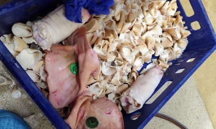 БАБХ конфискува над 3,5 тона опасни месни продукти в Дулово