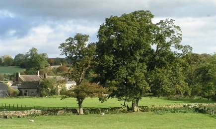 Площите за биоземеделие във Франция се свиват с 2%