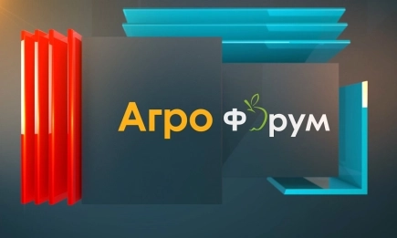 В АГРОФОРУМ: Защо преработвателите предпочитат плодове от Гърция?