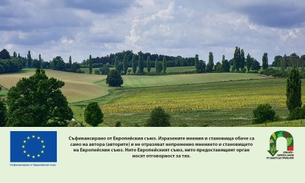 ДФЗ изплати над 404 хил. евро на 196 фермери по екосхемата за горски екосистеми
