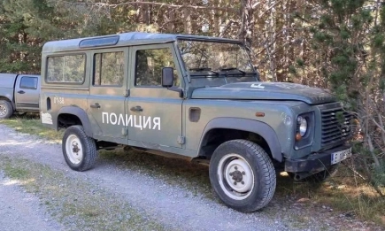 Национален парк Рила и МВР с акция срещу незаконно подхранване на дива свиня