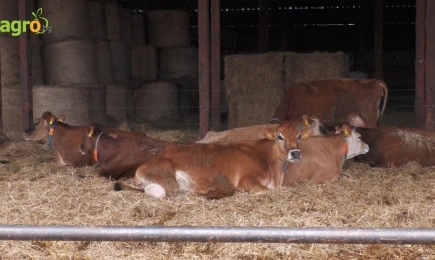 Росица Перчемлиева, животновъд: Очакваме подкрепа от държавата за повече фермерски пазари