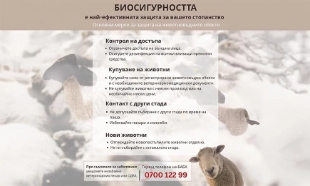 БАБХ призовава животновъдите към стриктна биосигурност за предотвратяване на заразни болести