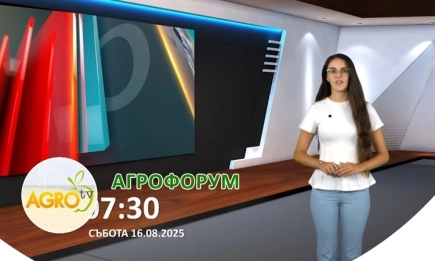 В АГРОФОРУМ: Испания и България – пресечни точки в агробизнеса