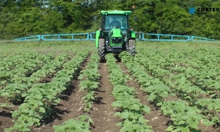 Нова селекция и иновативна растителна защита в слънчоглед от Corteva Agriscience™ за Пролет 2025