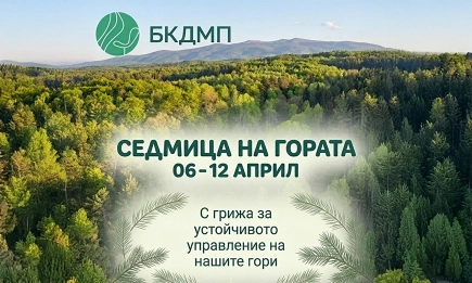 България празнува 101 години Седмица на гората: Рекорден горски запас и устойчиво бъдеще