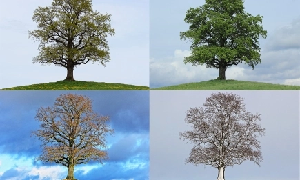 Как резките промени на времето влияят на здравето ни?