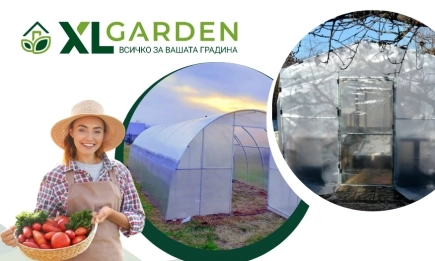 Защо да изградите оранжерия в двора или градината?