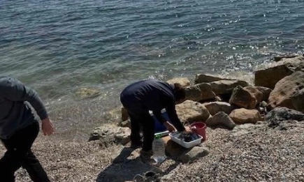 Продължава мониторингът на морските води заради военните действия на територията на Република Украйна