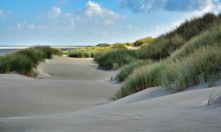 МОСВ отмени решение на РИОСВ – Бургас и възложи повторно провеждане на процедура за необходимост от екологична оценка