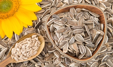 Слънчогледовият протеин може да промени правилата на играта в хранителната индустрия и България