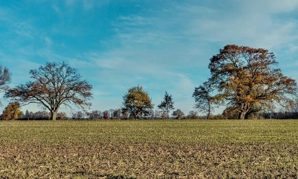 Къде ще вали в края август?