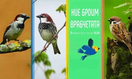 БДЗП стартира 10-ото юбилейно издание на кампанията Ние броим врабчетата