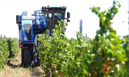 Италиански винопроизводител избра NEW HOLLAND BRAUD