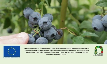 Радостин Стойчев: Биохраната е чиста и здравословна