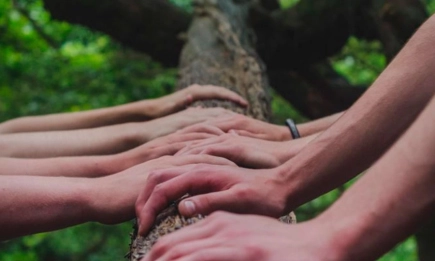 Инструменти в подкрепа на развитието на биоикономиката в рамките на проект CEE2ACT