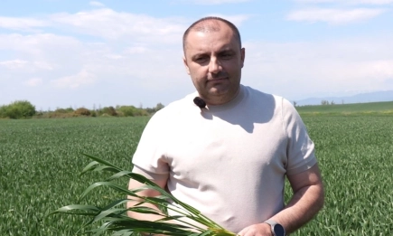 Безкомпромисно представяне на ЕН-ЛИЙФ в пшеницата на Гранд Агро