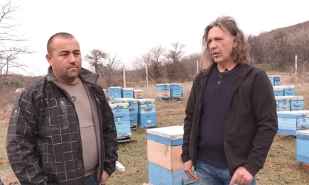 Професионални пчелари работят в неформален кооператив