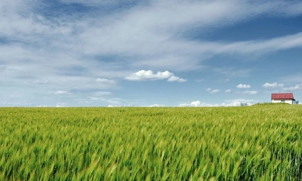 Валежи със стопанско значение, но и градушки