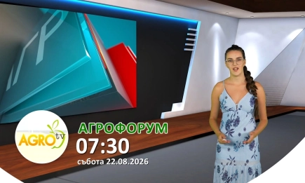 В АГРОФОРУМ: Ваксинацията срещу шарката по дребните преживни – възможна мярка за ограничаване на заразата