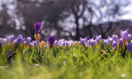 Март постави температурни рекорди – най-топъл в Европа и втори в света