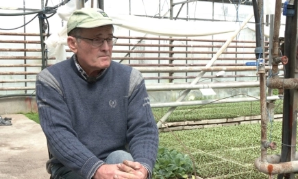 Първо оцеляваш, после успяваш: историята на един производител на разсад