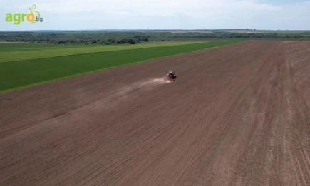 Сеитба на високоолеинови хибриди на Кортева при различни технологии