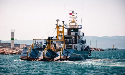 Липса на кислород избива рибата в залива на Измир