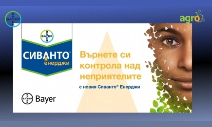Сиванто® Енерджи – безкомпромисен срещу гризещи и смучещи неприятели в рапица и пшеница
