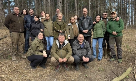 Горски служители попълват и отглеждат нови насаждения от бял бор на Витоша