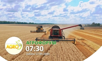 В АГРОФОРУМ: Какво се случва с подновяването на хидромелиоративните системи?