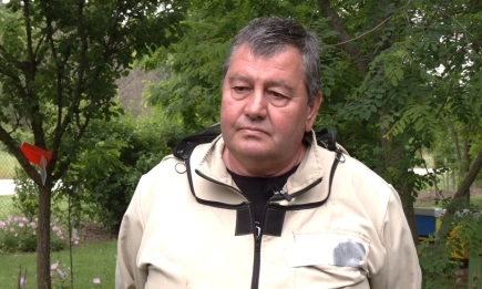 Пчеларството не е печалбарство