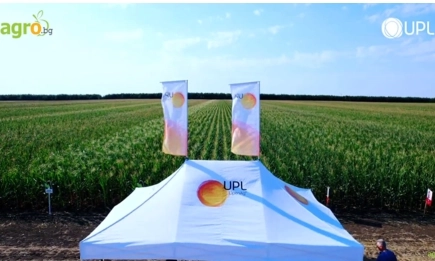ЕВОЛЮШЪН на UPL е еволюционен скок в контрола на житните плевели