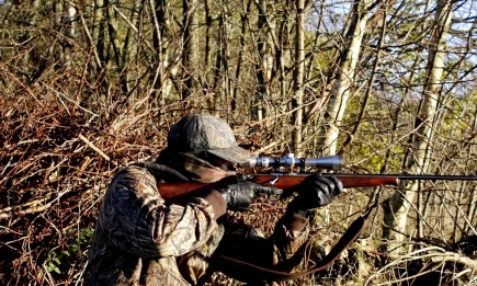 Екипи на Изпълнителната агенция по горите задържаха лице в подозрение за бракониерство в землището на село Върбешница