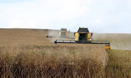 Производителността на труда в селското стопанство в ЕС е нараснала с 1,6 на сто през 2024 г.