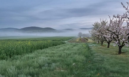 Хладно и дъждовно време