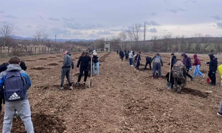 Община Ловеч започна засаждане на плодни дръвчета в село Лисец