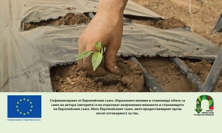 Стартира приемът на заявления за застраховане на реколтата с бюджет от над 11.7 млн. евро