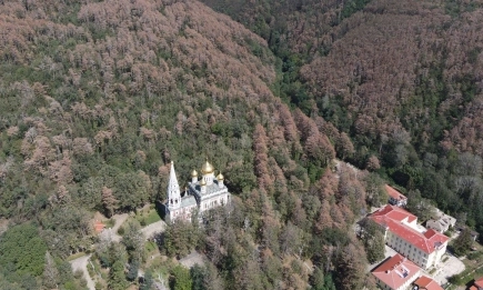 Липсата на грижа за горите води до природни бедствия