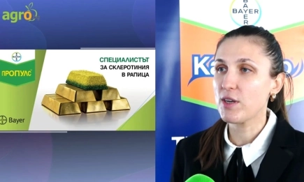 Фунгицидът Пропулс на Байер – вече с регистрация и в слънчоглед