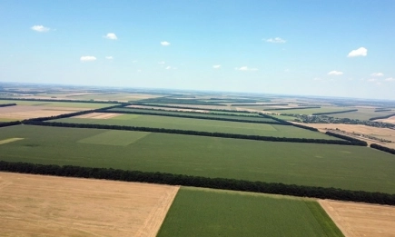 Създаването на един декар нов полезащитен пояс струва 4116 лева