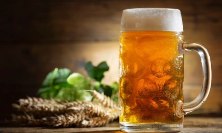 Изследвания на български учени разкриват значението на хмела и малца в пивоварството